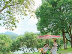 -福建鲤鱼洲酒店