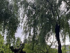 -黑龙潭公园