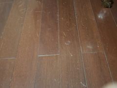 -浩运海鲜·16年专注青岛菜(石老人店)