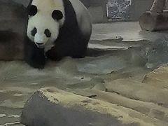 -海南热带野生动植物园