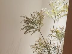 -快乐大桶水养生足浴SPA(前兴路店)