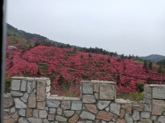 -木兰云雾山