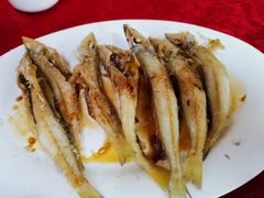 -蛇口康乐快餐鱼仔档(翠苑小区店)