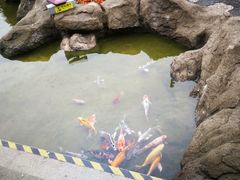 -江宁织造博物馆