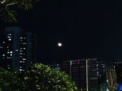 -人民公园(罗湖区)