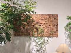 -自由生长植物工作室(深港花卉中心店)