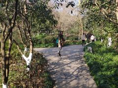 -杭州半山国家森林公园