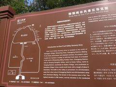 -大岭沟猕猴桃谷风景区