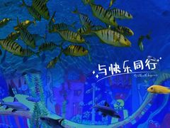 -重庆欢乐海底世界