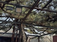 -红螺寺