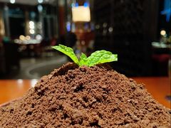 -苏州洲际酒店·大堂酒廊