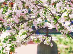 -大钟寺古钟博物馆