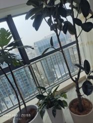 -HEYAN荷妍专业脱毛连锁机构