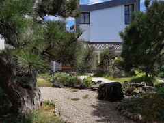 -东方艺术博物馆