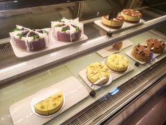 -gaga(深圳福田星河COCO Park店)