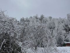 -瓦屋山景区