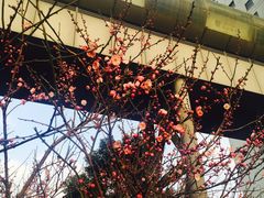 住院部-上海市第十人民医院(总院)