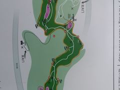 -金鸡山公园