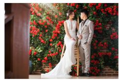 点击看大图 -苏菲亚婚纱摄影