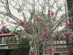 -金银湖市民文体活动中心恒温游泳馆