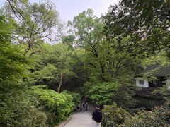 -宋宴(虎跑店)