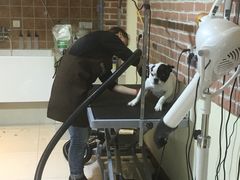 -Oh My Dog宠物沙龙(伊珊娜皮毛护理店)