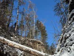 -峡谷浮石林景区