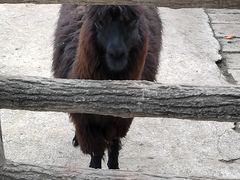 -昆明动物园