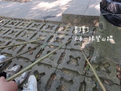 -梧桐山风景名胜区