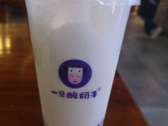 -一只酸奶牛(八一路店)