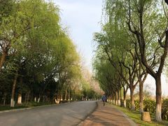 -太阳岛度假酒店