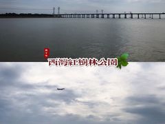 -宝安西湾红树林湿地公园