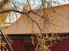 -宝通禅寺