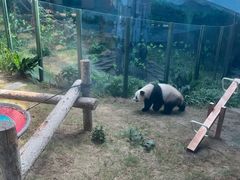 -大连森林动物园