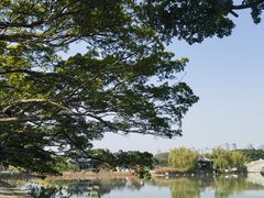 -江心屿景区