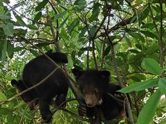 -常州淹城野生动物世界