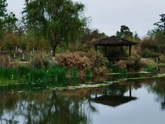 -桤木河湿地公园