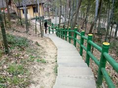 -上海佘山国家森林公园西佘山园