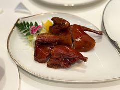 茶皇炸乳鸽-伯衡55·吉品轩(乌鲁木齐南路店)
