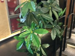 -新紫霞养生·影院足道·SPA(金山区店)