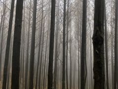 -山王坪喀斯特国家生态公园