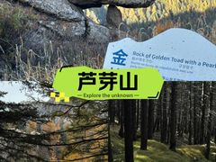 -芦芽山旅游度假区