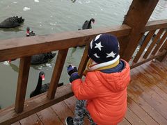 -溱湖国家湿地公园