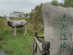 -溱湖国家湿地公园