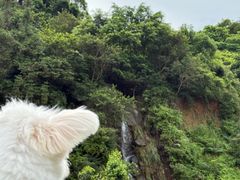 -水濂山森林公园