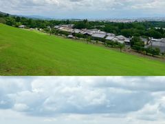 -奈良公园