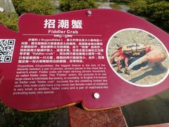 -北海金海湾红树林生态旅游区