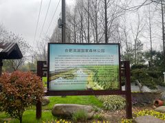 -合肥滨湖国家森林公园