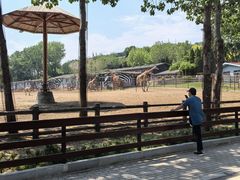 -大连森林动物园