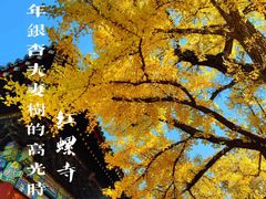 -红螺寺